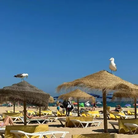 Apartamento Elite 3f Com Mar, Piscina E Garagem