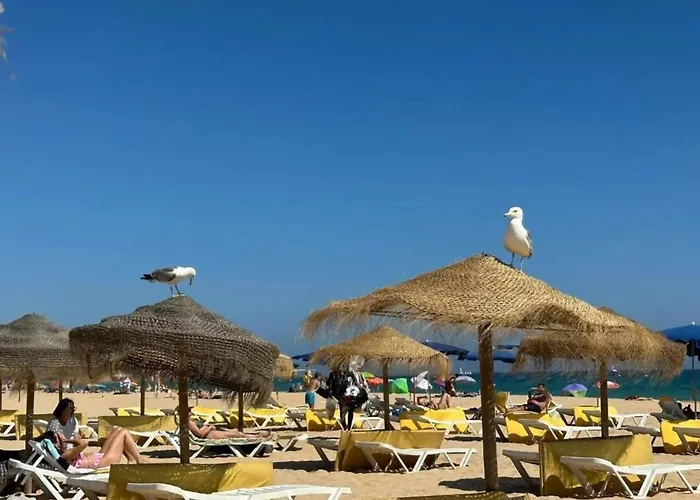 Appartement Piscina, Garagem A 5 Min A Pe Da Da Rocha